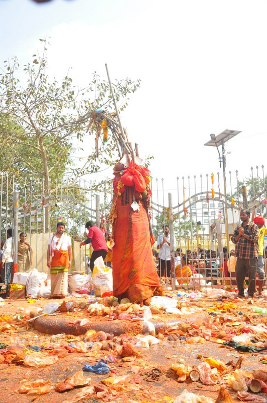 జన సంద్రం.. మేడారం