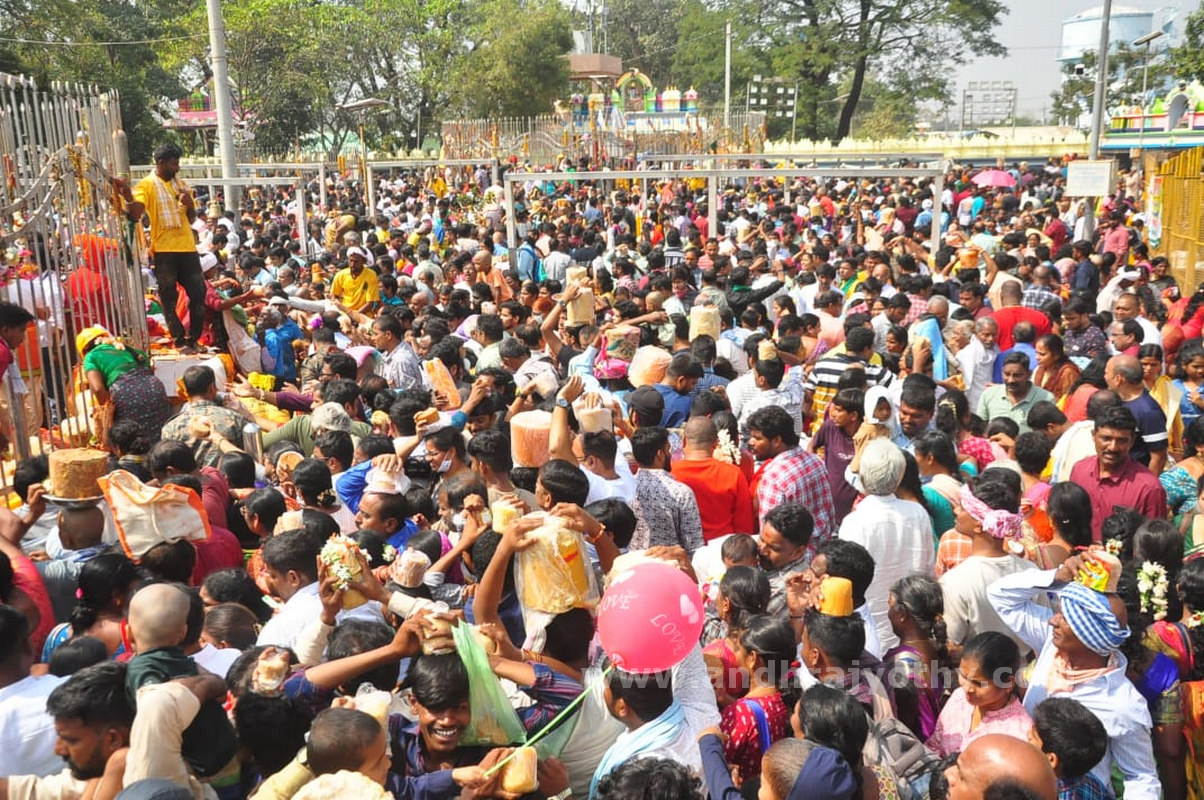 జన సంద్రం.. మేడారం