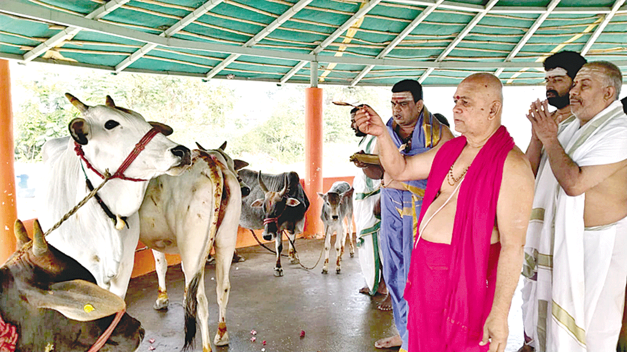 గోపూజ సకల దేవతారాధనతో సమానం