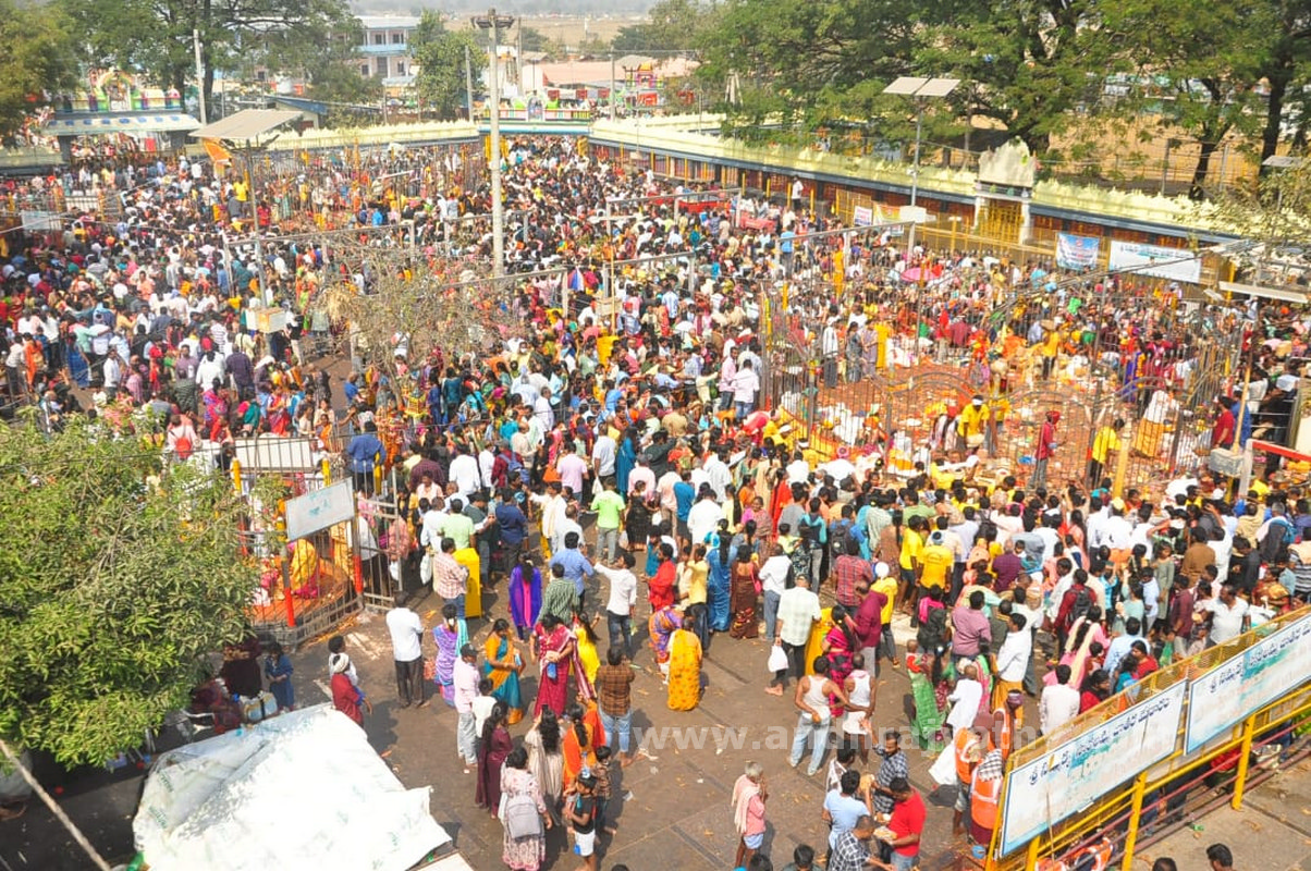 జన సంద్రం.. మేడారం