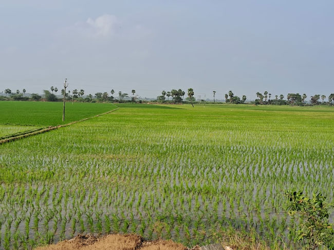 సాగునీటి పొదుపునకు చర్యలు