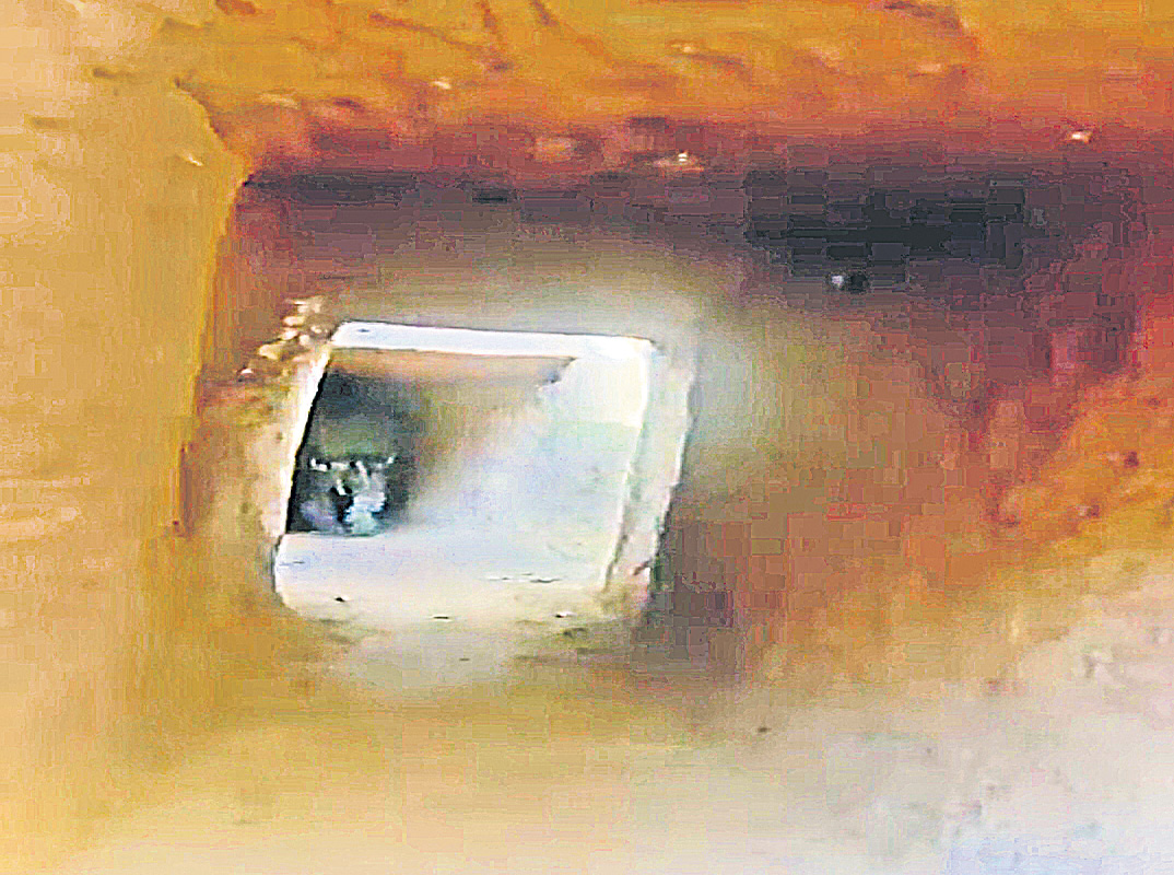 అడవుల్లో వరి సొరంగాలు