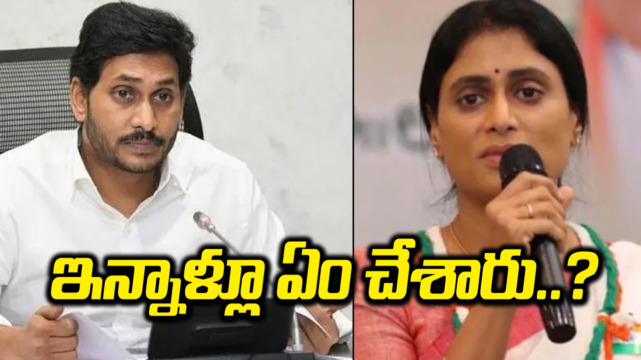 AP Politics: ఇన్నాళ్లు గుడ్డి గుర్రాలకు పళ్లు తోమారా..? ఏపీ సీఎం జగన్‌పై షర్మిల ధ్వజం