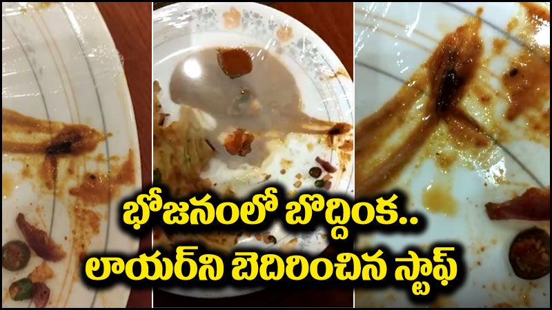 భోజనంలో బొద్దింక: భోజనంలో బొద్దింక.. మహిళను వేధించిన హోటల్ సిబ్బంది