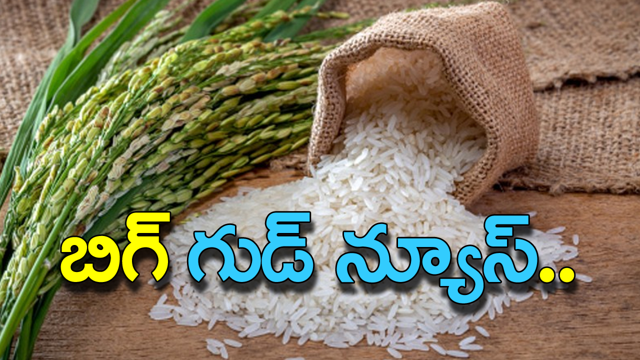 Bharat Rice: రూ.29కే కిలో రైస్.. ఎప్పుడు? ఎక్కడ ఇస్తారు? వివరాలివే..
