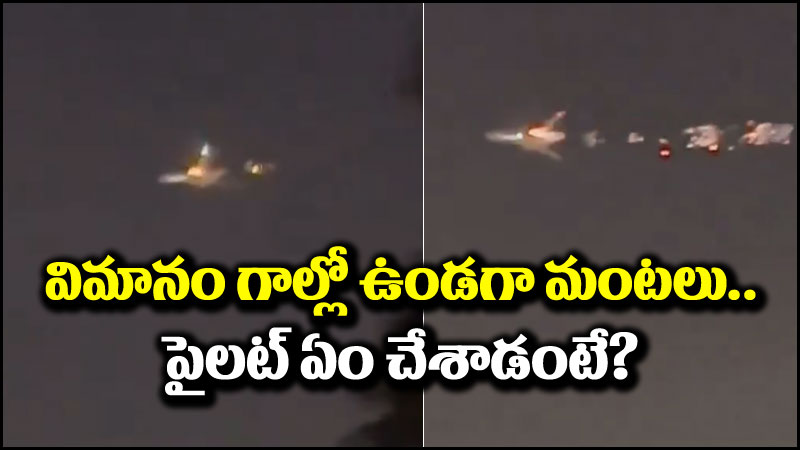 Boeing Cargo Plane: విమానం గాల్లో ఉండగా మంటలు.. ఆ లోపమే కారణం!