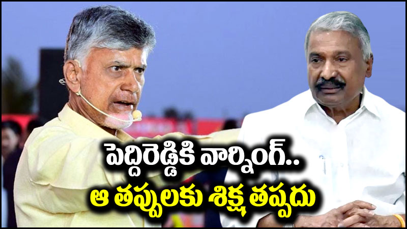 Chandrababu Naidu: పెద్దిరెడ్డిపై చంద్రబాబు ధ్వజం.. నేనేంటో చేసి చూపిస్తానంటూ వార్నింగ్