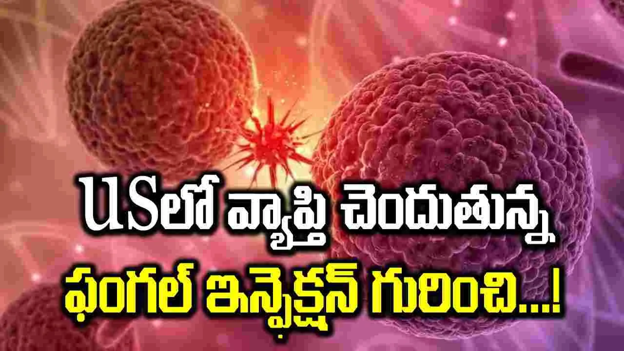 Candida : ఈ ఫంగల్ ఇన్ఫెక్షన్ లక్షణాల నుండి నివారణ వరకు... ! 