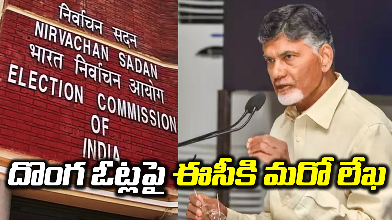 Chandrababu: ఎన్నికల కమిషన్‌కు మరో లేఖ రాసిన చంద్రబాబు