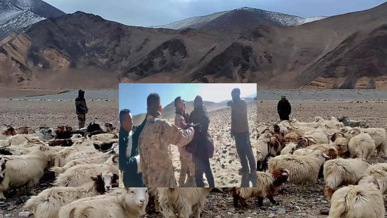 Ladakh Shepherds:చైనా సైనికులతో లడఖ్ కాపారుల వాగ్వివాదం