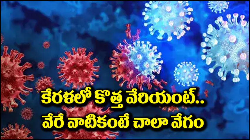 Corona Virus: కేరళలో కరోనా కొత్త వేరియంట్.. మునుపటి వాటి కంటే చాలా భిన్నం.. పెరుగుతున్న కేసులు