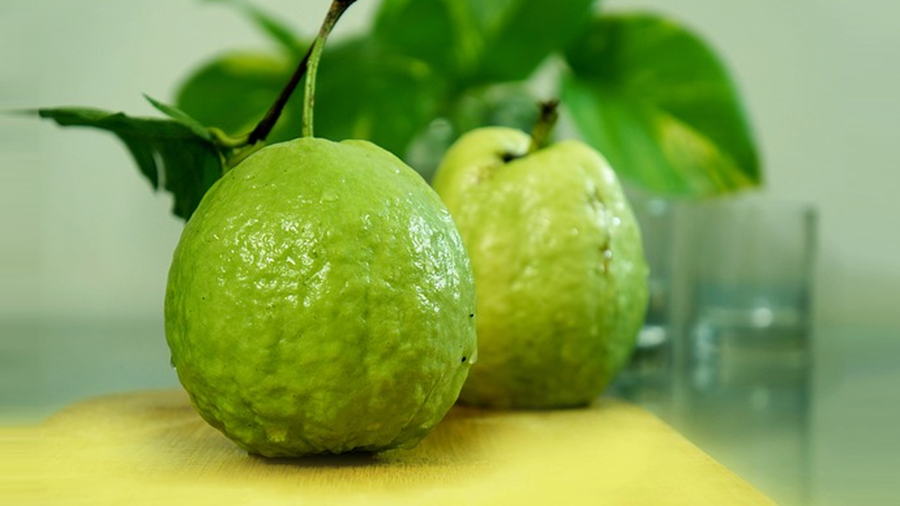 Guava: జామ పండ్లతో కలిగే లాభాలివే!