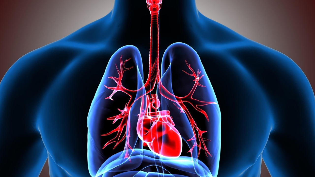 Respiratory Health: ఈ లక్షణాలు కనిపిస్తే వెంటనే డాక్టర్‌కు చూపించుకోండి..