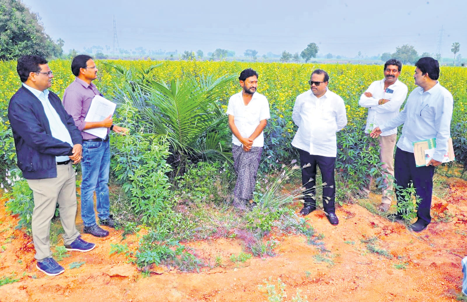 అంతర్‌ పంటల సాగుతో అధిక లాభాలు: కలెక్టర్‌