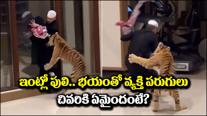 Viral News: ఇంట్లో టైగర్.. భయంతో పరుగులు పెట్టిన వ్యక్తి.. ఆ తర్వాత ఏమైందంటే?