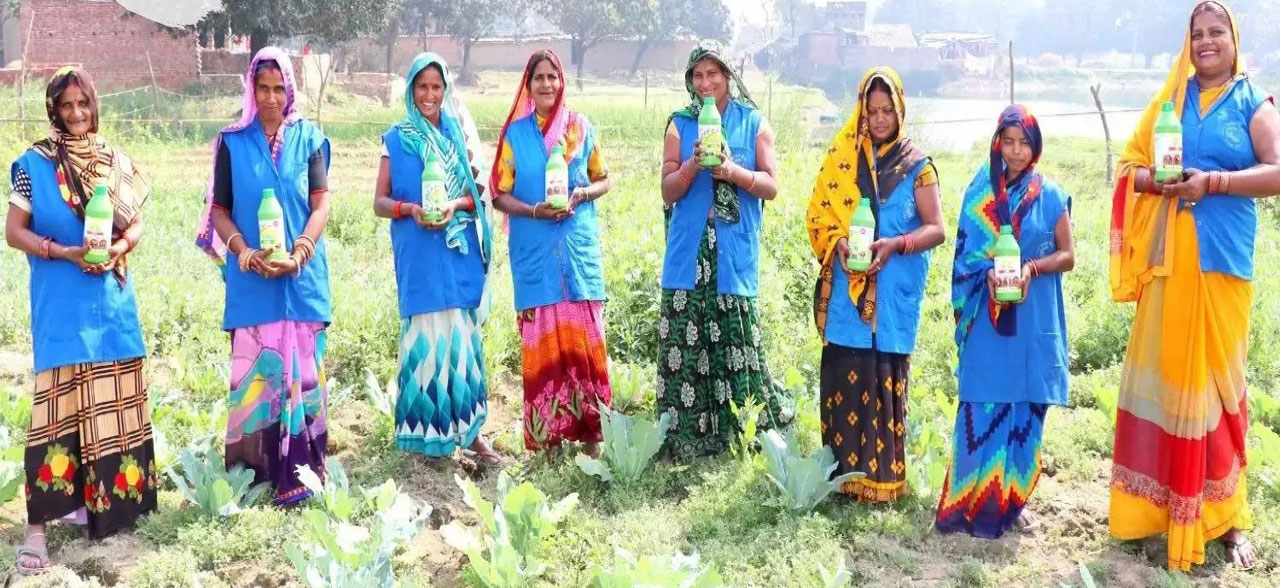  Organic farming : సేంద్రియంగా ‘ఉన్నతి’...