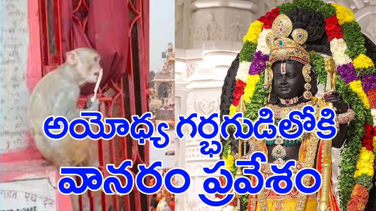 Ayodhya Ram Mandir: అయోధ్య రామమందిరంలోకి వానరం.. ఆ హనుమంతుడే వచ్చాడంటున్న భక్తులు!