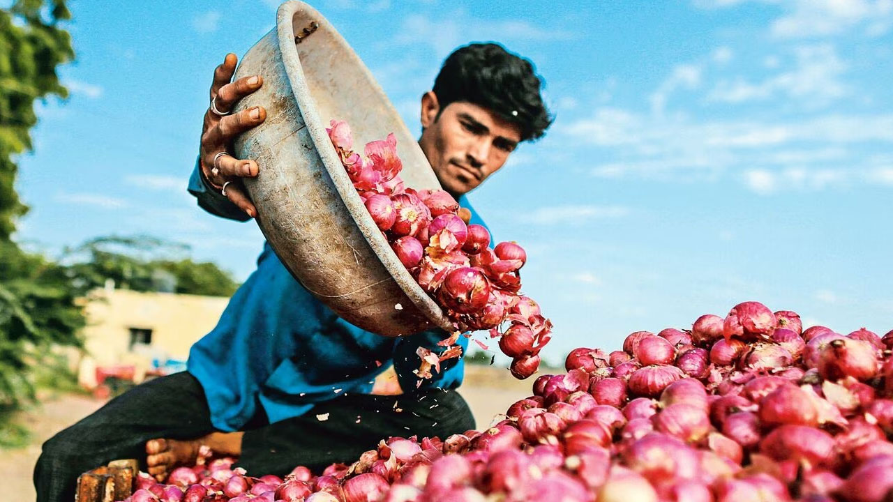 Onion Price: రూ.2 కే కిలో ఉల్లిగడ్డ.. ఎక్కడో తెలుసా?..