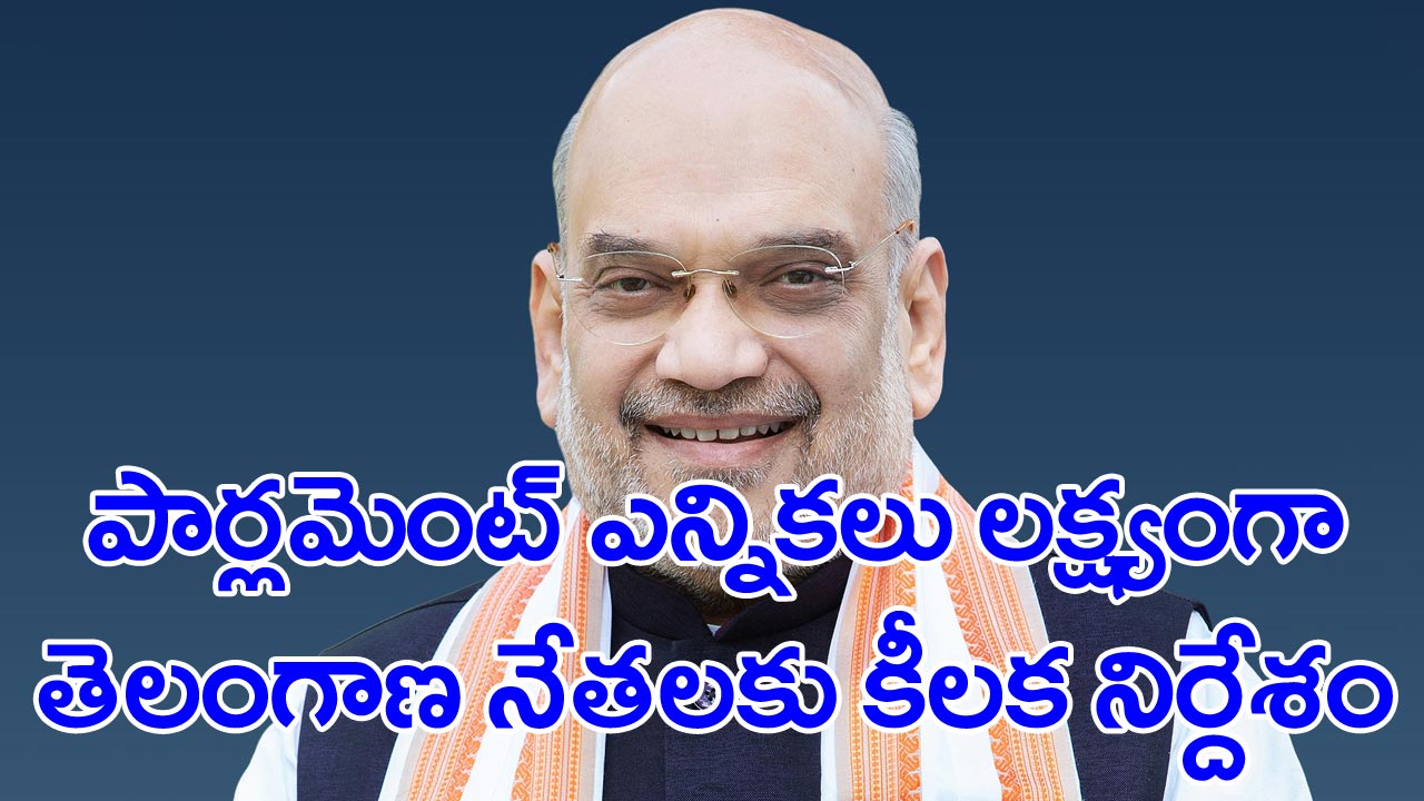 Amith Shah: తెలంగాణ అసెంబ్లీ ఎన్నికల ఫలితాలపై అమిత్ షా పోస్ట్‌మార్టం