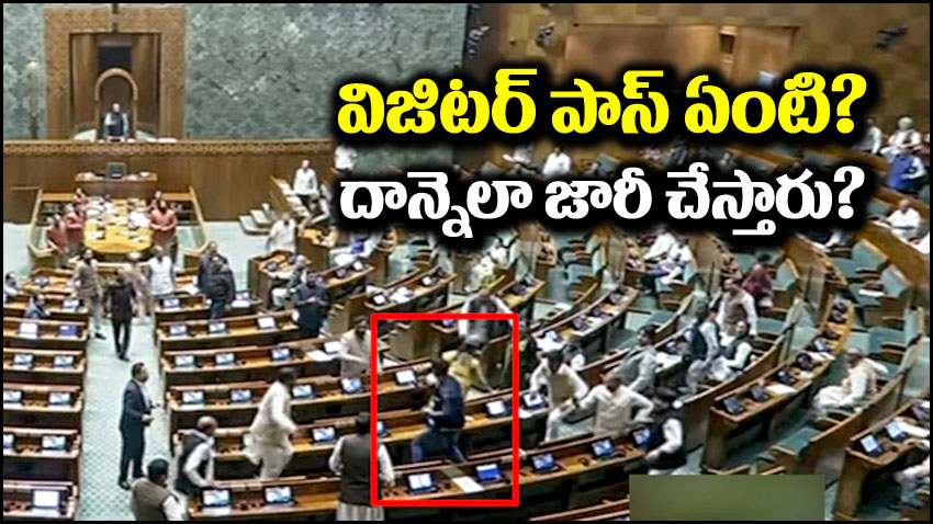 Parliament Security Breach: విజిటర్ పాస్ అంటే ఏంటి? దాన్ని ఎలా జారీ చేస్తారు?