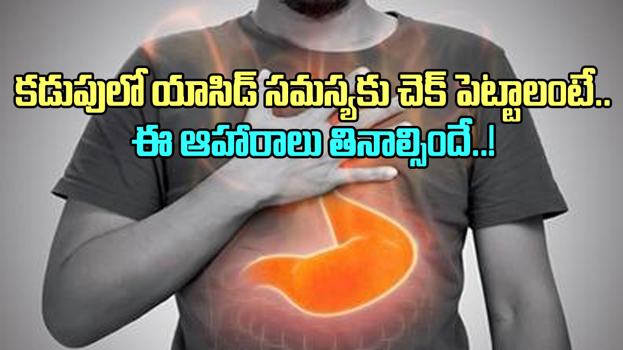 Stomach Acids: గ్యాస్ట్రిక్ యాసిడ్ సమస్యతో చాలా ఇబ్బంది పడుతున్నారా? ఈ 8 ఆహారాలతో సమస్యకు చెక్ పెట్టచ్చు!