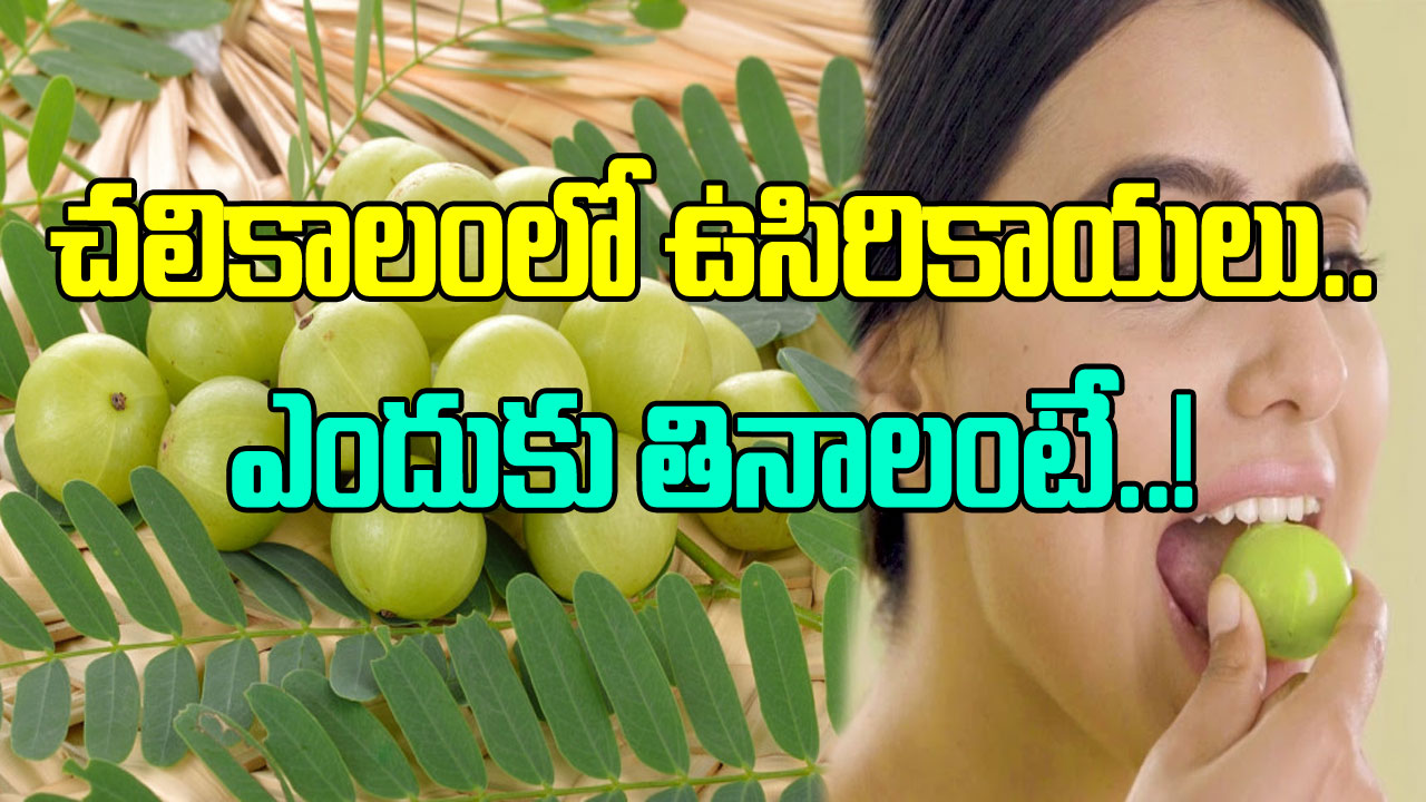 Health Tips: చలికాలంలో ఉసిరికాయలు ఎందుకు తినాలి? ఈ 10 కారణాల లిస్ట్ చూస్తే..