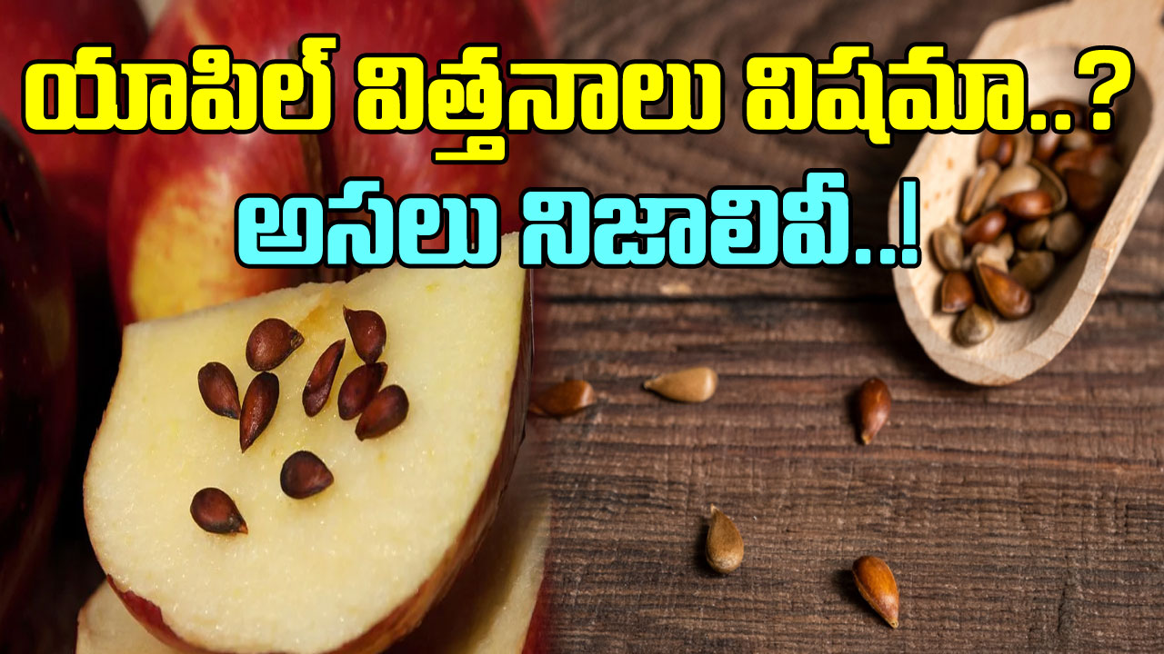 Apple Seeds:  యాపిల్ విత్తనాలు తింటే చచ్చిపోతారా? పొరపాటున యాపిల్ విత్తనాలు కడుపులోకి వెళితే జరిగేదిదే..!