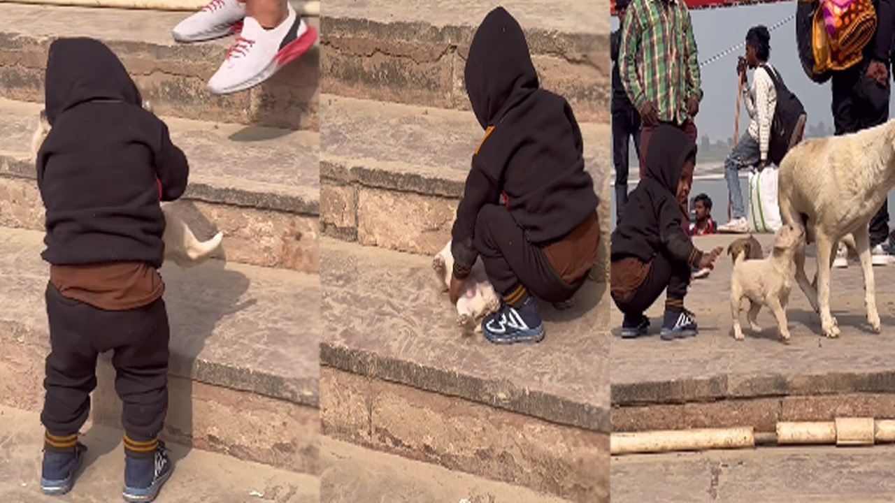 Viral Video: అయోధ్యలో అంతా రామభక్తిలో ఉంటే.. ఈ పిల్లాడు చేసిన గొప్ప పని చూడండి.. 