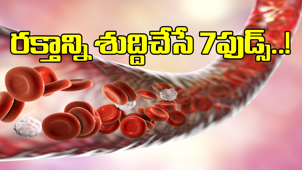 Health Tips: శరీరంలో రక్తం కలుషితమైతే జరిగేదేంటి? దీన్ని పరిష్కరించడానికి ఏం చెయ్యాలంటే..