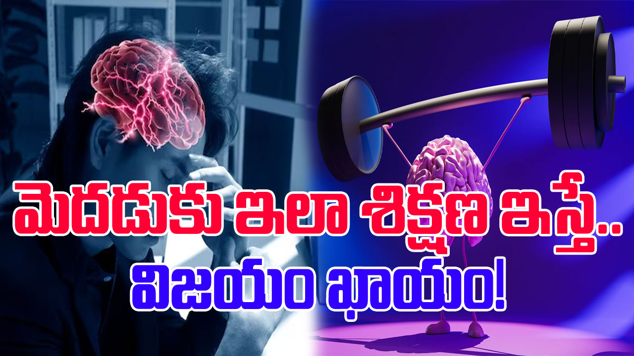 Mind Training: విజేతలు కావాలంటే మెదడుకూ శిక్షణ ఇవ్వాలి.. ఇదిగో ఇలా..!