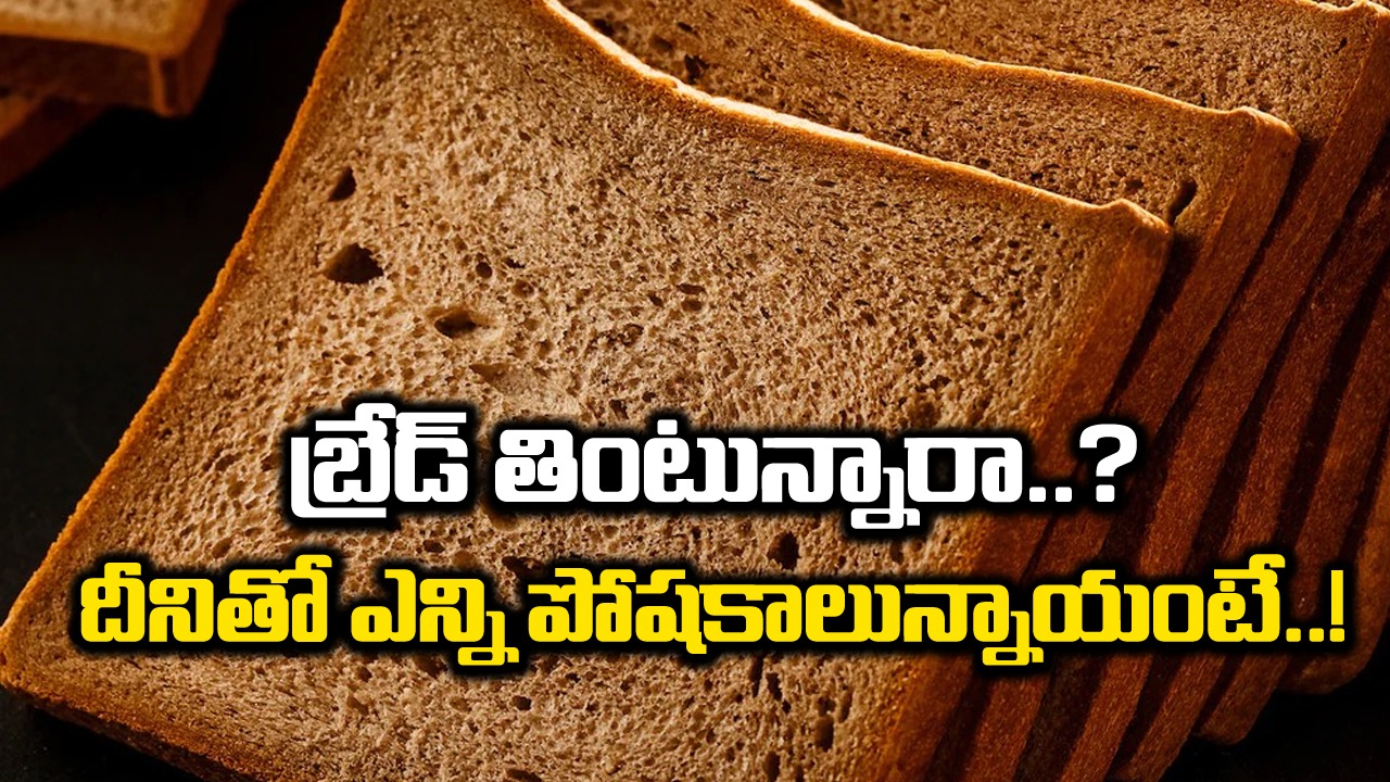 Eating Brown Bread: బ్రేక్‌ఫాస్ట్‌గా బ్రౌన్ బ్రెడ్ తింటున్నారా? దాని ప్రయోజనాలు తెలుసుకోండి..!