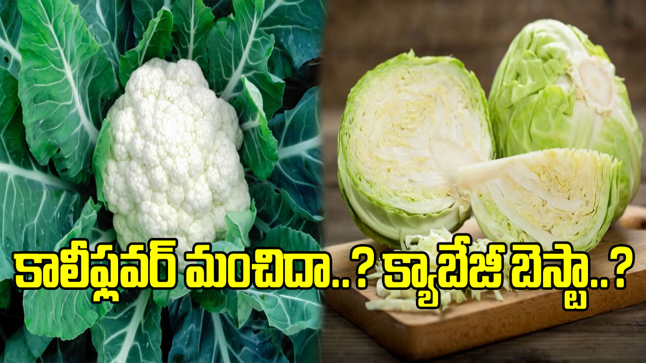 Cauliflower vs Cabbage: కాలీఫ్లవర్ మంచిదా..? క్యాబేజీ తినాలా..? ఈ రెండింటిలో ఆరోగ్యానికి ఏది బెస్ట్ అంటే..!