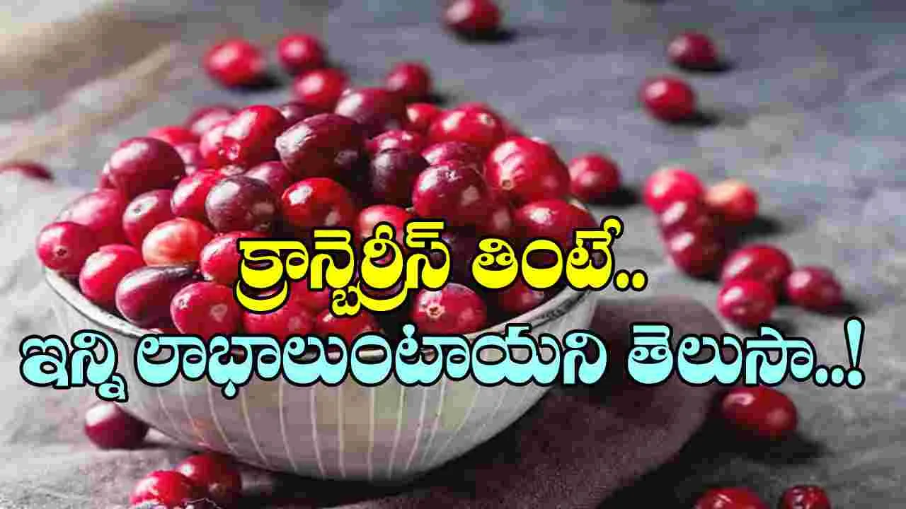 Cranberries: క్రాన్బెర్రీస్ ఎప్పుడైనా తిన్నారా?  ఇవి తింటే కలిగే లాభాల లిస్ట్ ఇదీ..!