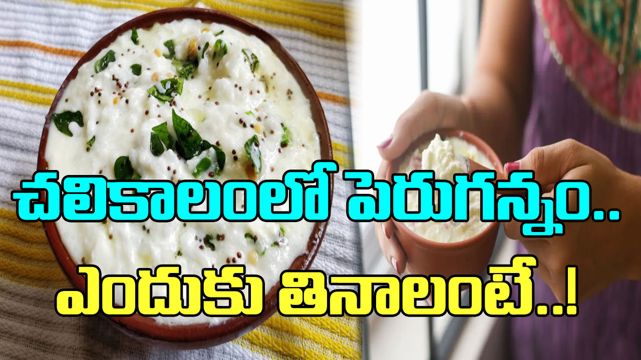 Curd rice: చలికాలం కదా అని పెరుగన్నం మానేస్తున్నారా? ఈ నిజాలు  తెలిస్తే..!