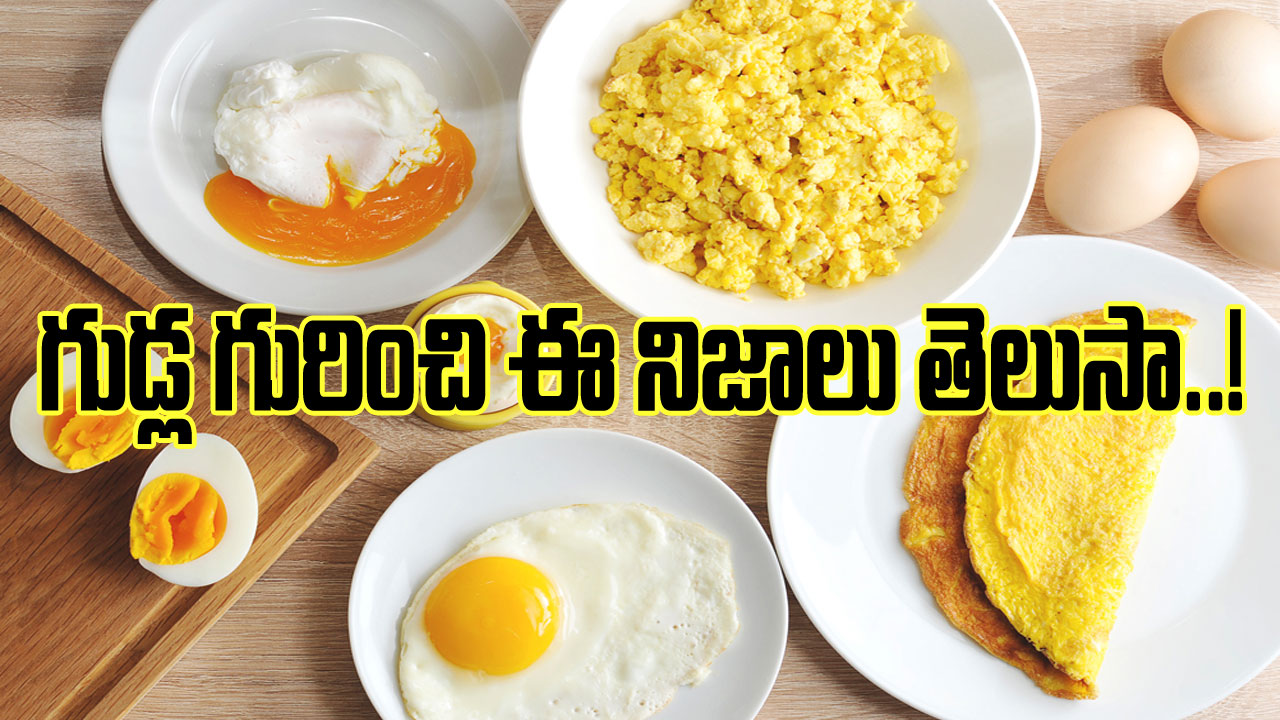 Eggs: గుడ్లు బాగా తింటుంటారా? చాలా మందికి  తెలియని నిజాలు ఇవీ..!!