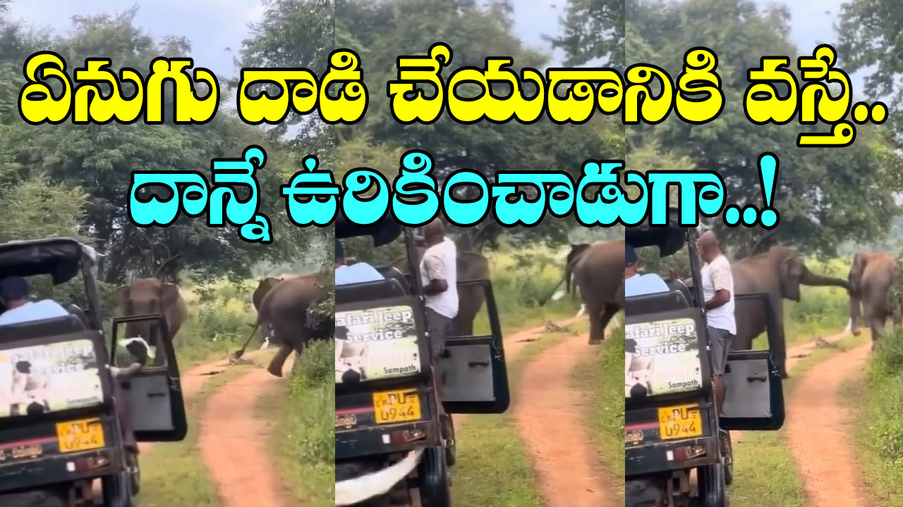 Elephant Video:  దెబ్బకు ఏనుగును కూడా ఉరికించాడు భయ్యా..  ఈ డ్రైవర్  ధైర్యం చూస్తే షాకవ్వకుండా ఉండలేరు..!