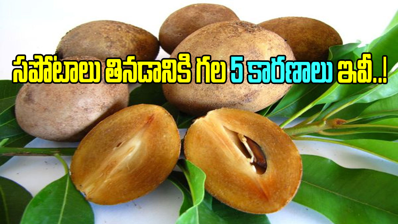 Sapodilla: సపోటా పండ్లు ఎందుకు తినాలో చెప్పే 5 కారణాలు ఇవీ..!