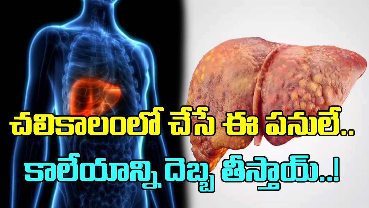 Fatty Liver: చలికాలంలో చేసే ఈ పొరపాట్ల వల్ల కాలేయానికి ఎంత నష్టమో తెలుసా..?