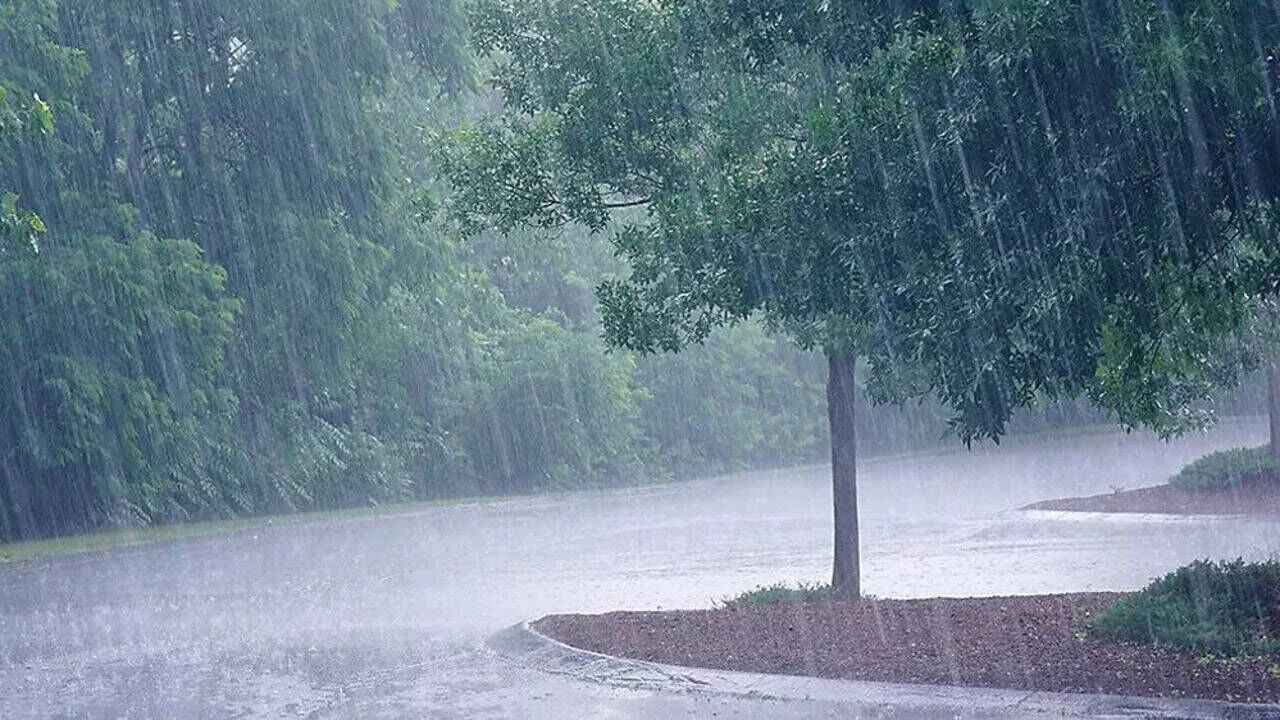 Rains: రాష్ట్రంలో ఐదు రోజులపాటు తేలికపాటి వర్షాలు