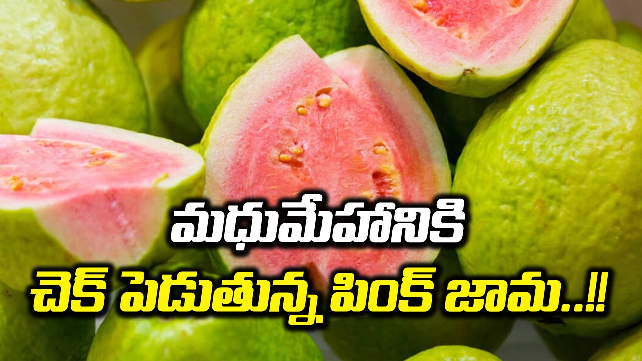 pink guava: గులాబి జామకాయలు తింటే మధుమేహం నుంచి ఉపశమనం కలుగుతుందట.. వీటితో ఇంకా..!!