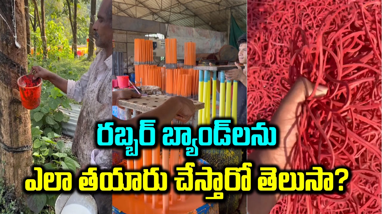 Interesting Video: మనం వాడే రబ్బర్ బ్యాండ్‌లను ఎలా తయారు చేస్తారో తెలుసా? సీక్రెట్ రివీల్ చేసిన వైరల్ వీడియో!