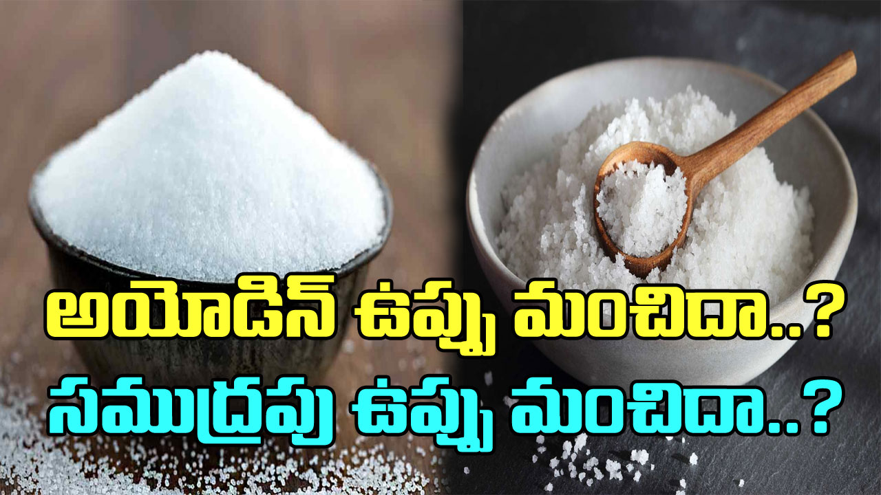 Iodised salt Vs Sea Salt:  అయోడైజ్డ్ ఉప్పు మంచిదా? సముద్రపు ఉప్పు మంచిదా? ఏది వాడితే ఆరోగ్యానికి ఎక్కువ లాభాలంటే..!