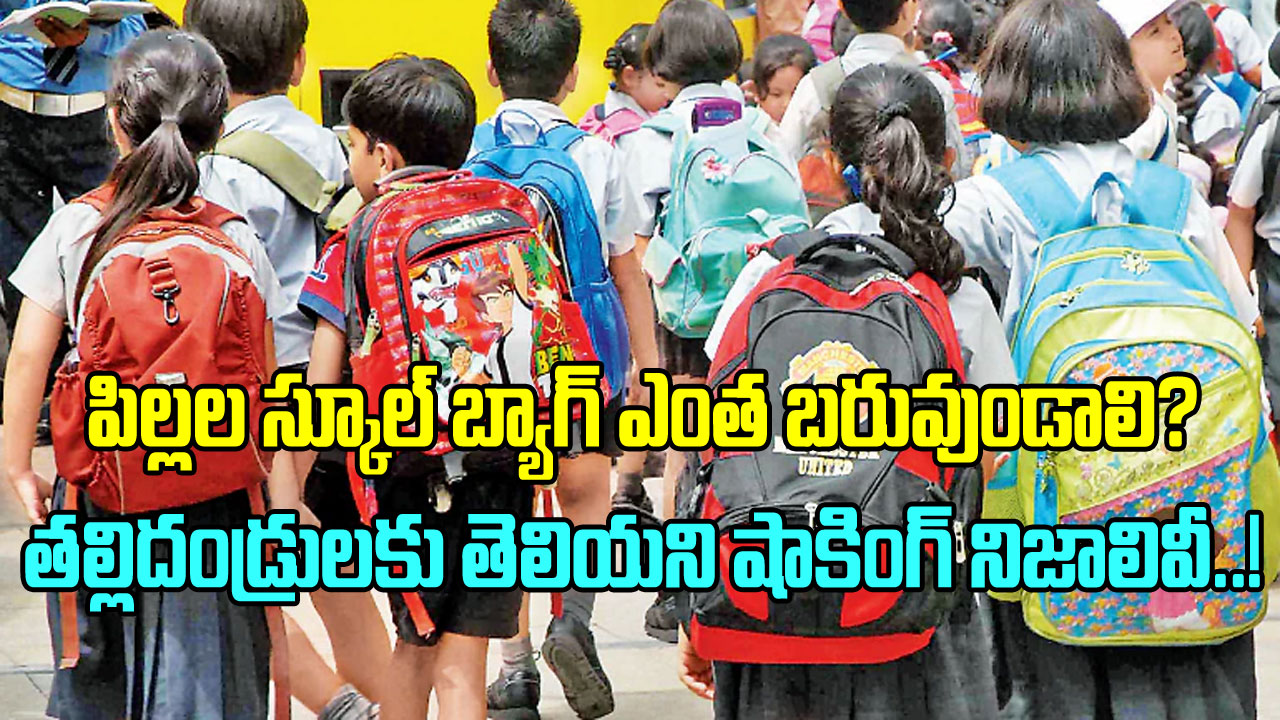 Kids School Bag: పిల్లల స్కూల్ బ్యాగ్ ఏ వయసులో ఎంత బరువుండాలి? ఈ షాకింగ్ నిజాలు తెలుసా?