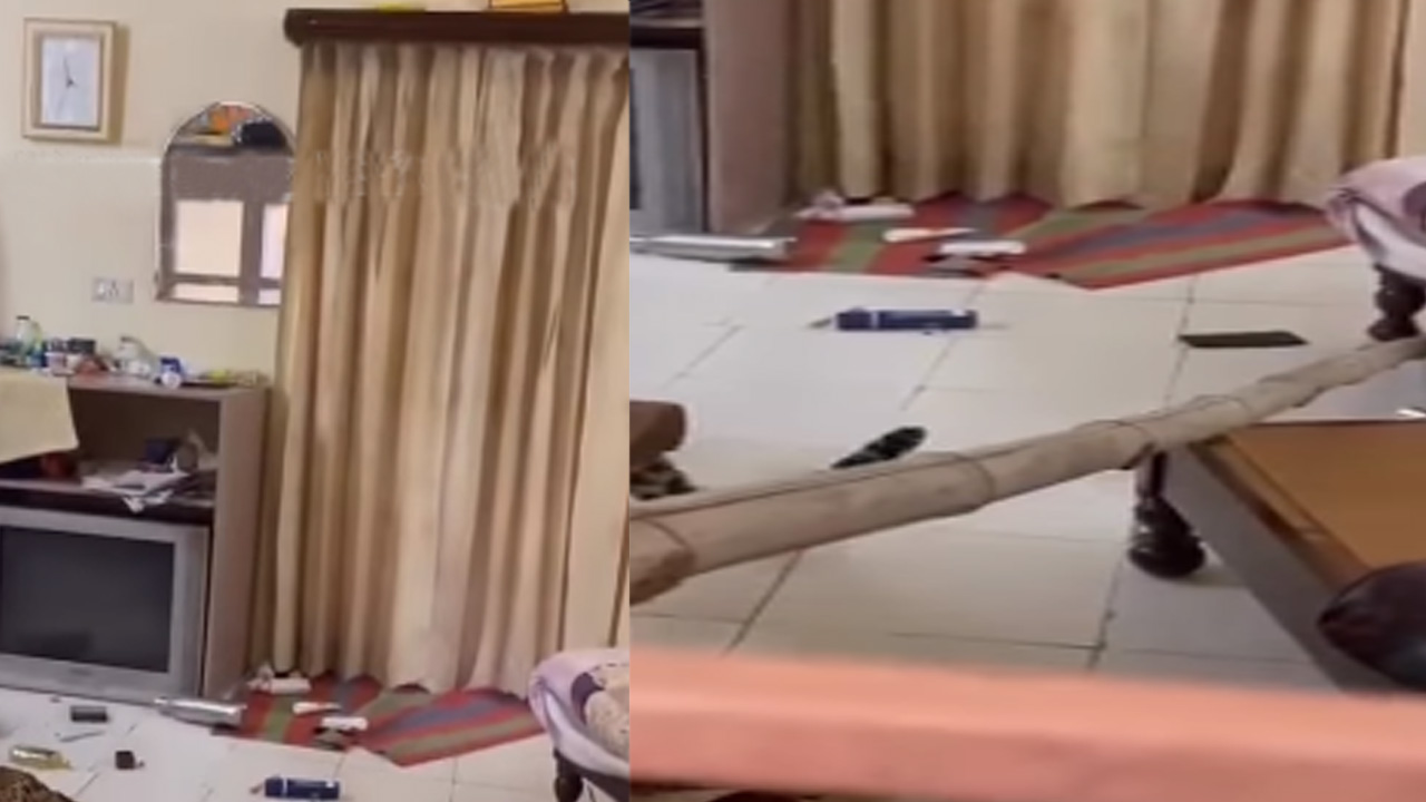 Viral Video: హోటల్ గదిలో చప్పుడు రావడంతో చూసేందుకు వెళ్లారు.. తీరా కిటికీలో నుంచి తొంగిచూడగా..