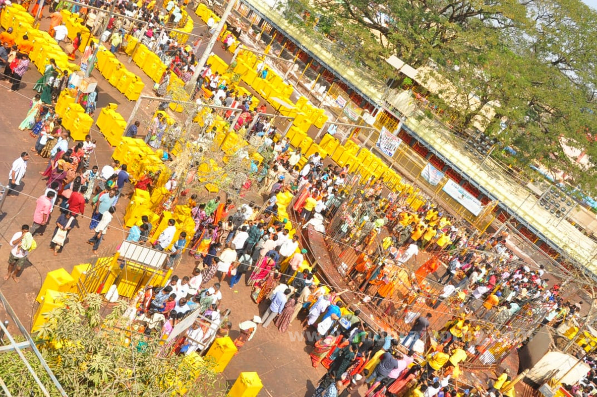 పగిడిద్దరాజు గుడిలో ప్రత్యేక పూజలు