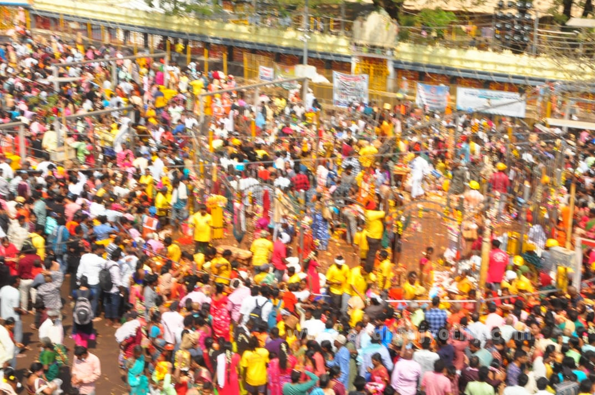 మేడారం.. భక్తజనహారం