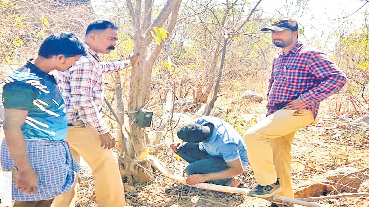 సాల్విడ్‌ గుట్టలో చిరుత సంచారం?