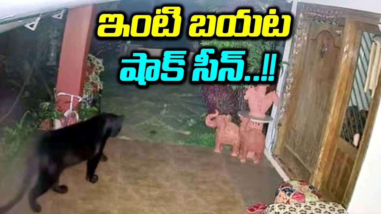 Viral News: వామ్మో.. ఇంటి బయట నల్ల చిరుత.. సీసీ ఫుటేజీ చూసి గజ్జుమన్న ఇంటి ఓనర్