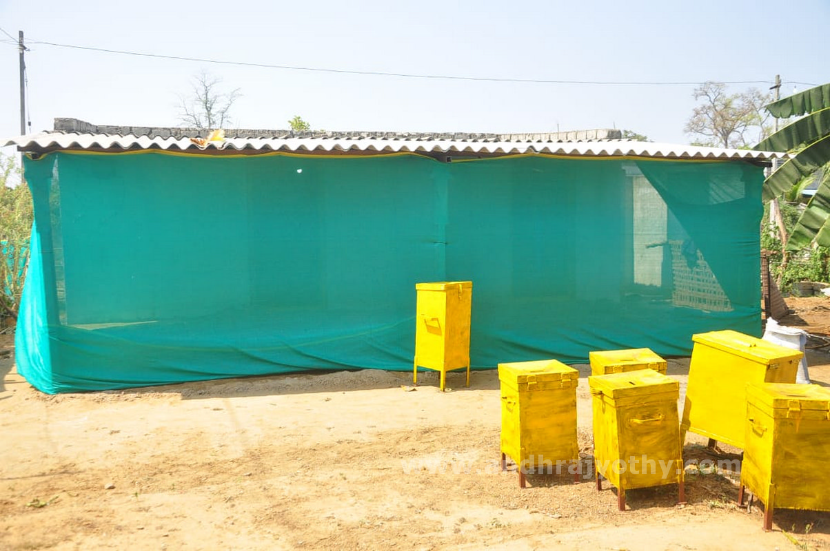 పగిడిద్దరాజు గుడిలో ప్రత్యేక పూజలు