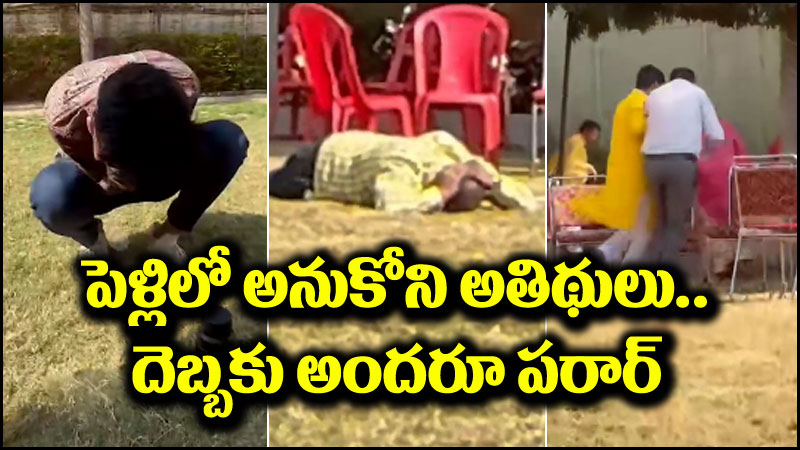 Viral News: పెళ్లికి వచ్చిన అనుకోని అతిథులు.. పరుగు తీసిన బంధువులు.. 12 మందికి గాయాలు